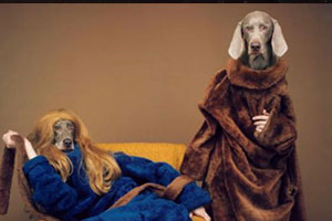 William Wegman’s Weimaraners