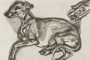 Lucian Freud’s Whippets